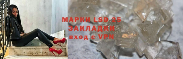 ПСИЛОЦИБИНОВЫЕ ГРИБЫ Верхний Тагил