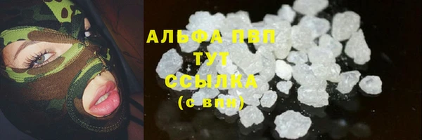 ПСИЛОЦИБИНОВЫЕ ГРИБЫ Верхний Тагил