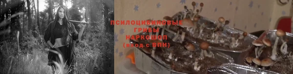 ПСИЛОЦИБИНОВЫЕ ГРИБЫ Нефтегорск