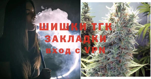ПСИЛОЦИБИНОВЫЕ ГРИБЫ Верхний Тагил