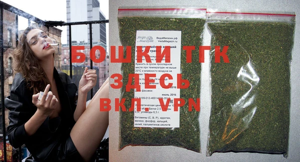 ПСИЛОЦИБИНОВЫЕ ГРИБЫ Верхний Тагил