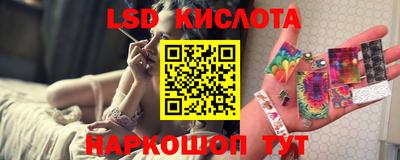 a pvp Камышлов