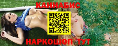 a pvp Камышлов