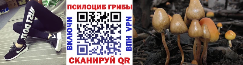 Псилоцибиновые грибы Psilocybe  Рузаевка 