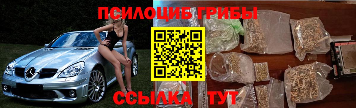 Рузаевка  Псилоцибиновые грибы Psilocybine cubensis  цены наркотик  Вход с VPN 